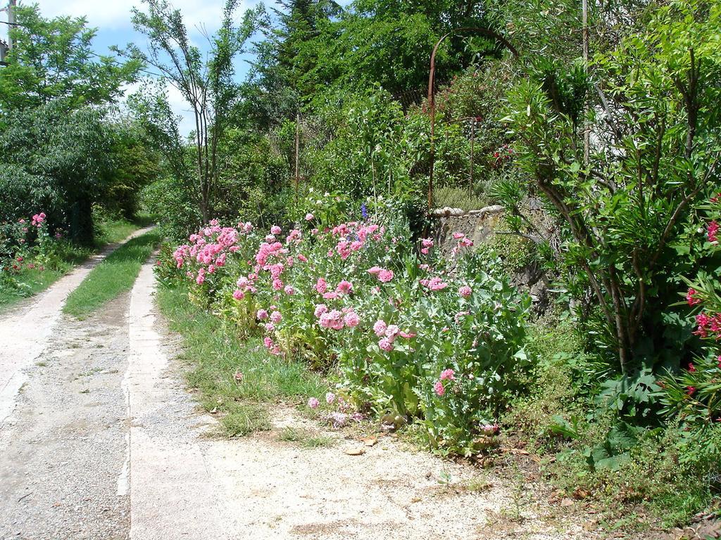 Bed and Breakfast La Colline Bleue Banne Екстер'єр фото