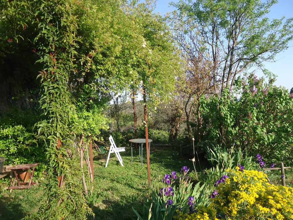Bed and Breakfast La Colline Bleue Banne Екстер'єр фото